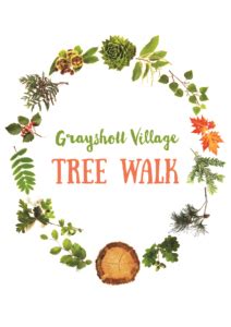bay tree grayshott.
